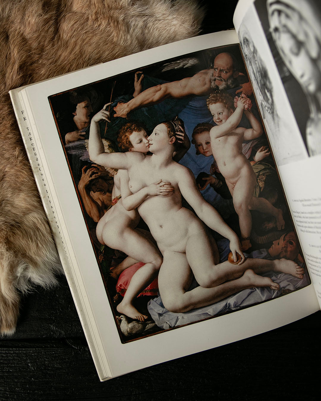Feminine Beauty Book