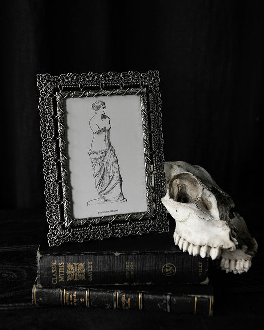 Vintage Frame