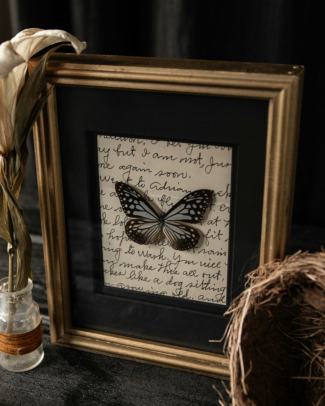 Framed Butterfly