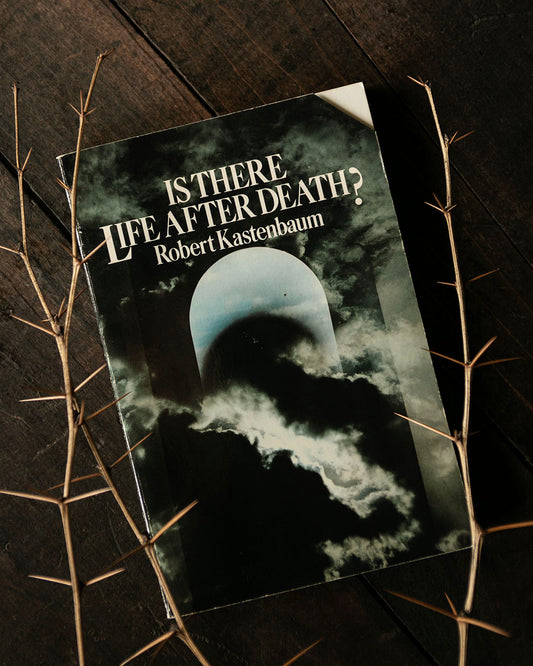 Is There Life After Death? Book