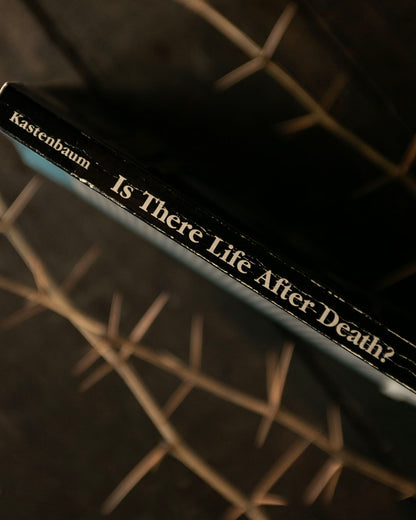 Is There Life After Death? Book