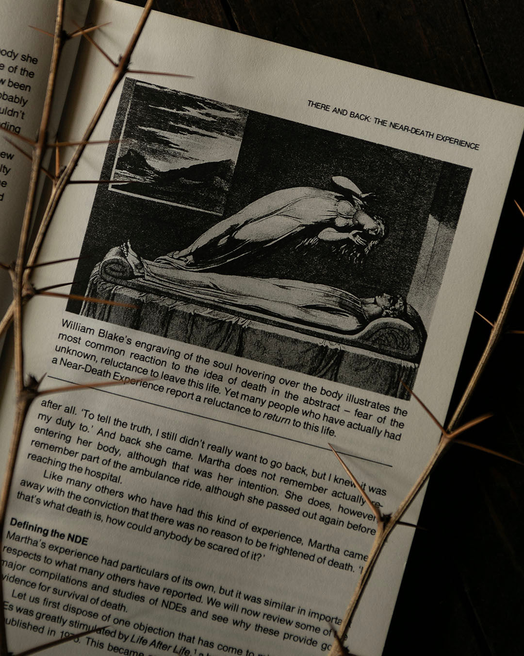 Is There Life After Death? Book