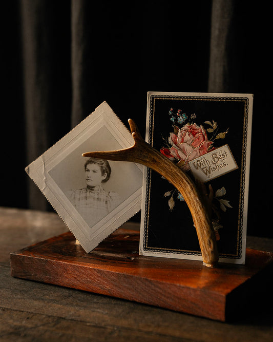 Antler Stand