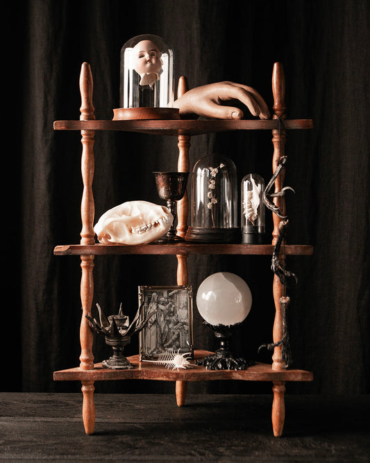 Curio Shelf