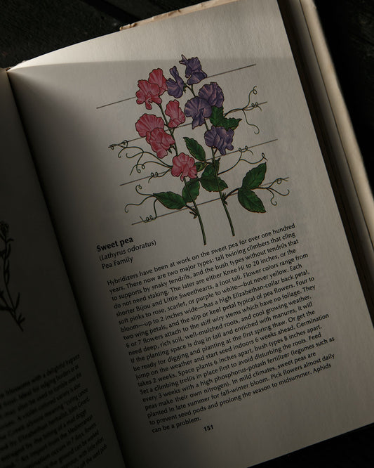 Book of Annuals & Perennials