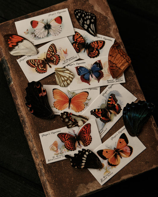 Vintage Butterfly Cigarette Cards