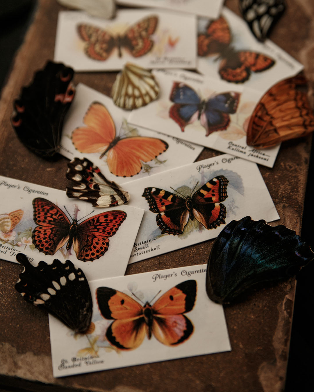 Vintage Butterfly Cigarette Cards