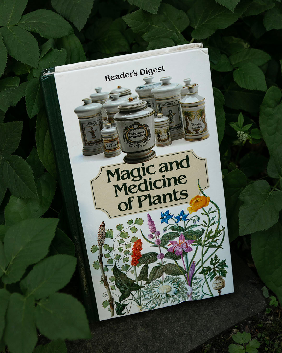 Magic and Medicine of Plants Book