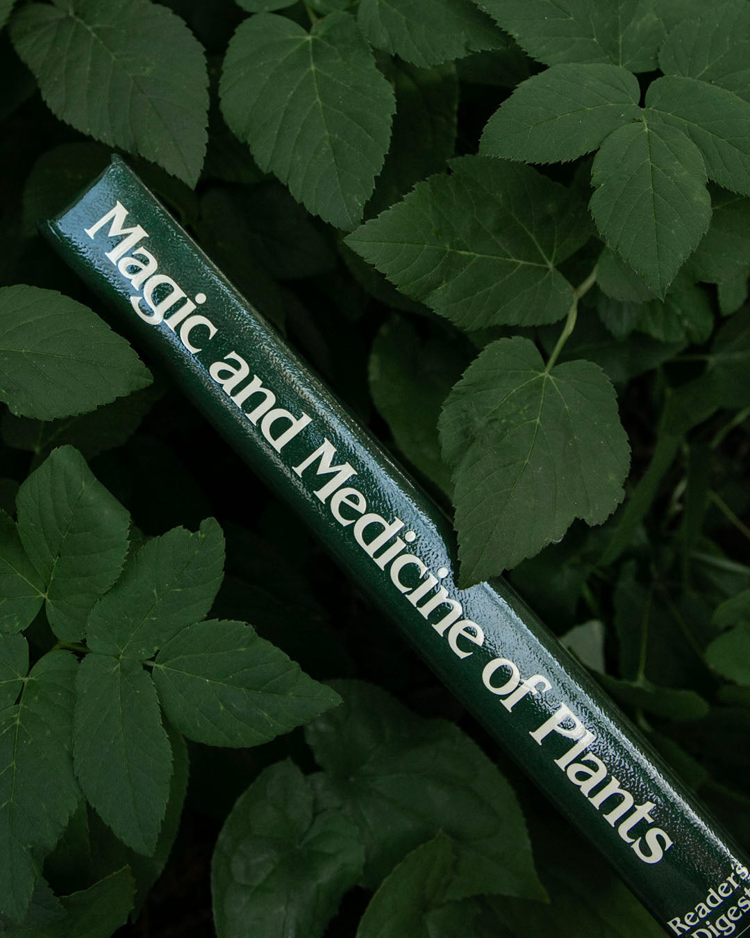 Magic and Medicine of Plants Book