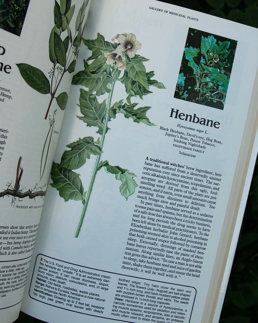 Magic and Medicine of Plants Book