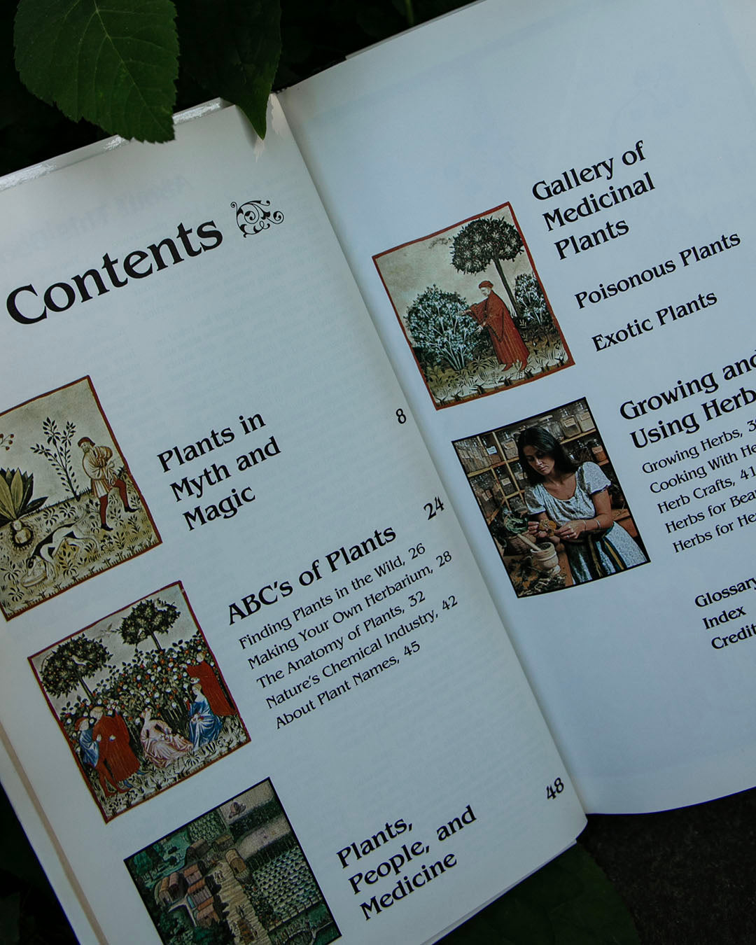 Magic and Medicine of Plants Book