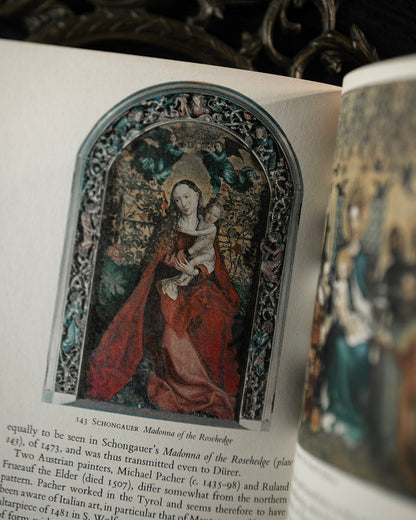 The Art of the Renaissance Book