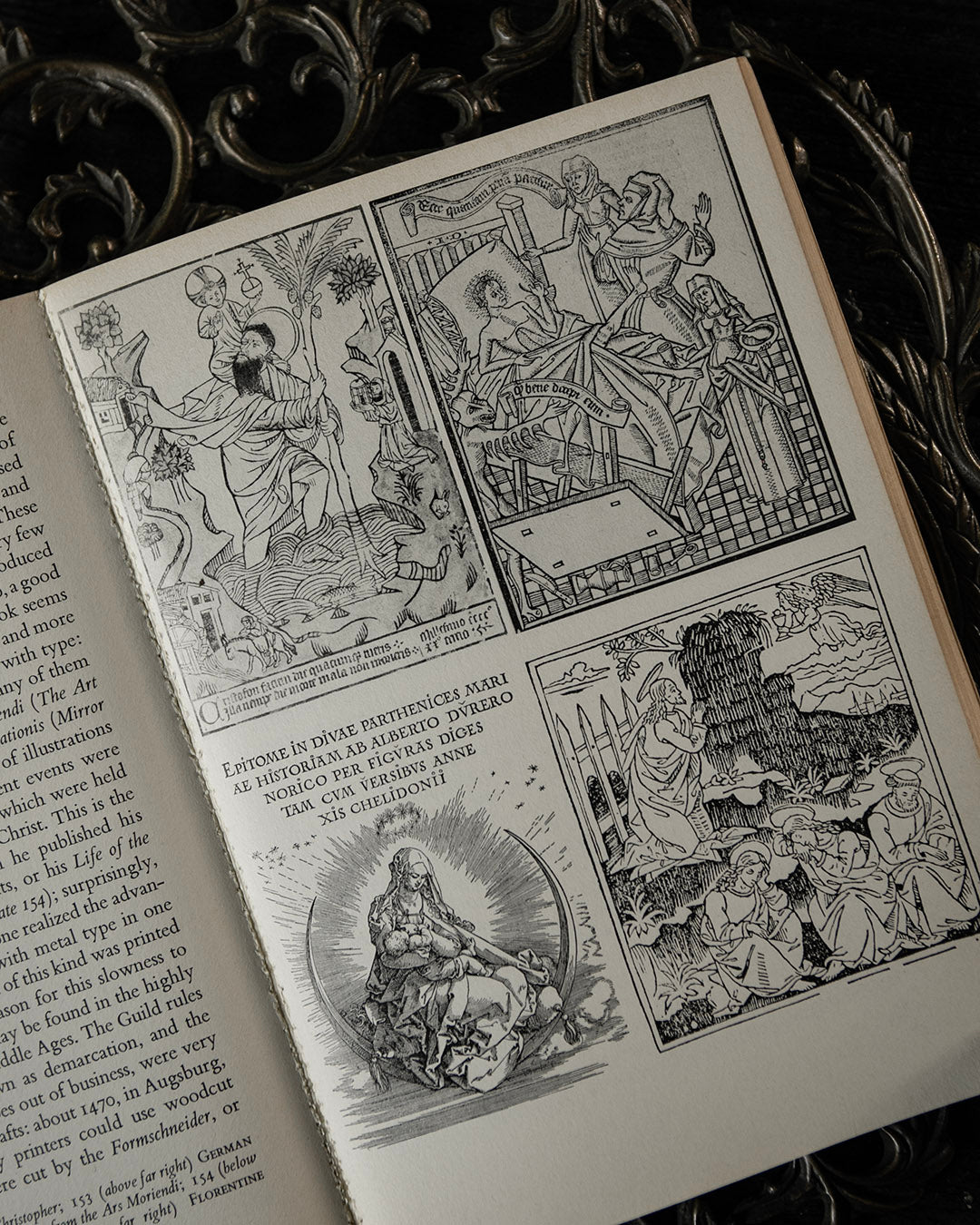 The Art of the Renaissance Book