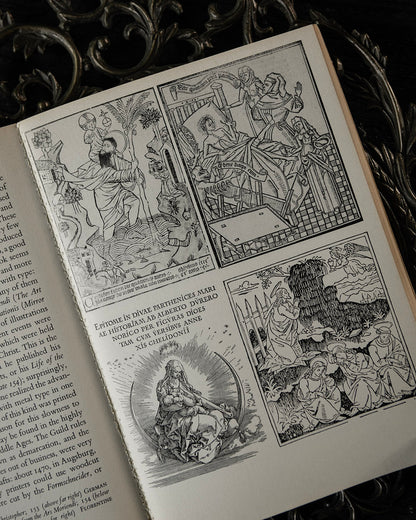 The Art of the Renaissance Book
