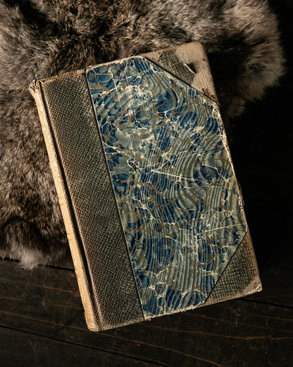 Antique Scott's Works Book