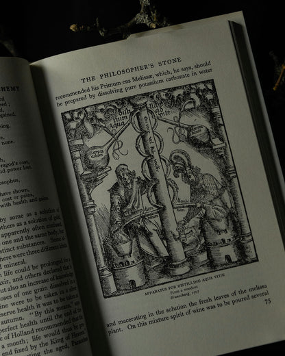 The Lure & Romance of Alchemy Book