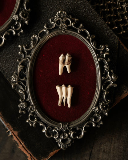Framed Teeth