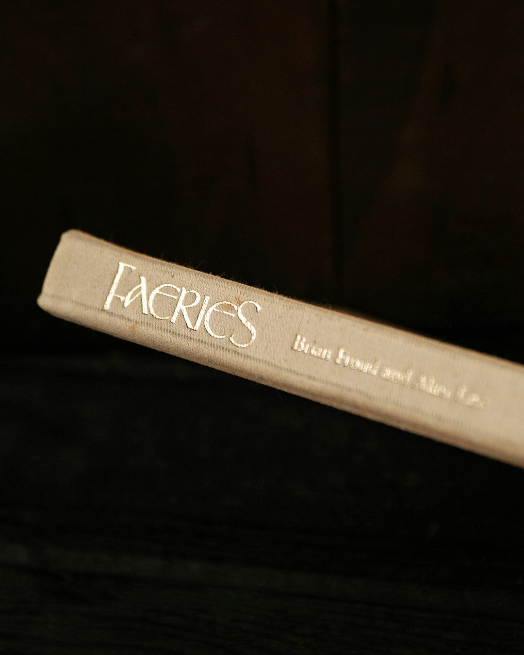Faeries Book
