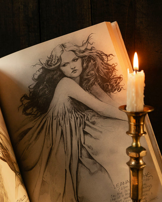 Faeries Book