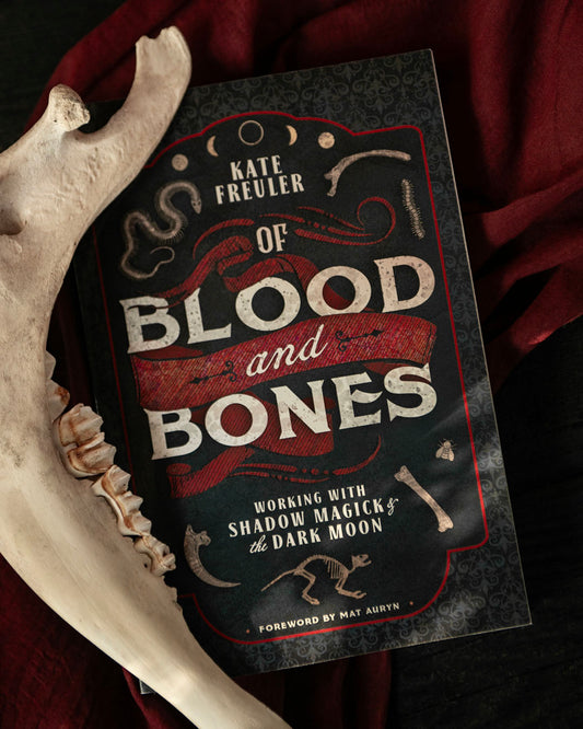 Of Blood & Bones Book