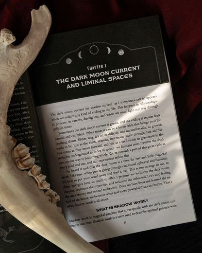 Of Blood & Bones Book