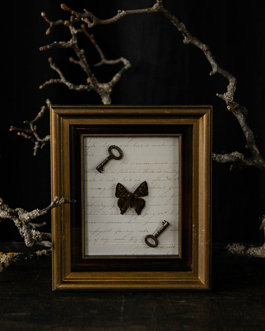 Framed Butterfly