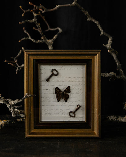 Framed Butterfly