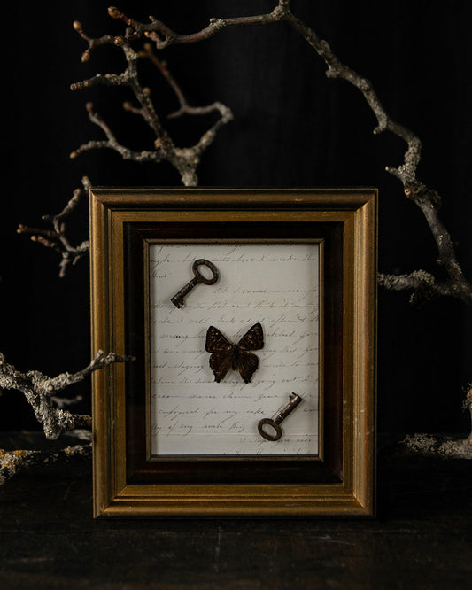 Framed Butterfly