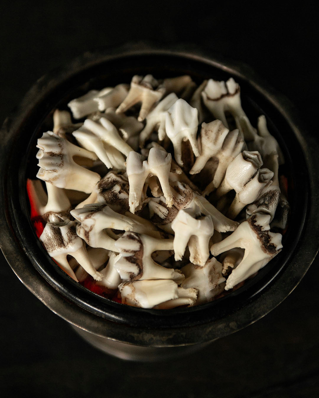 Deer Tooth