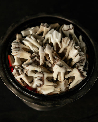 Deer Tooth