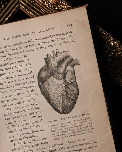 How To Keep Well Book