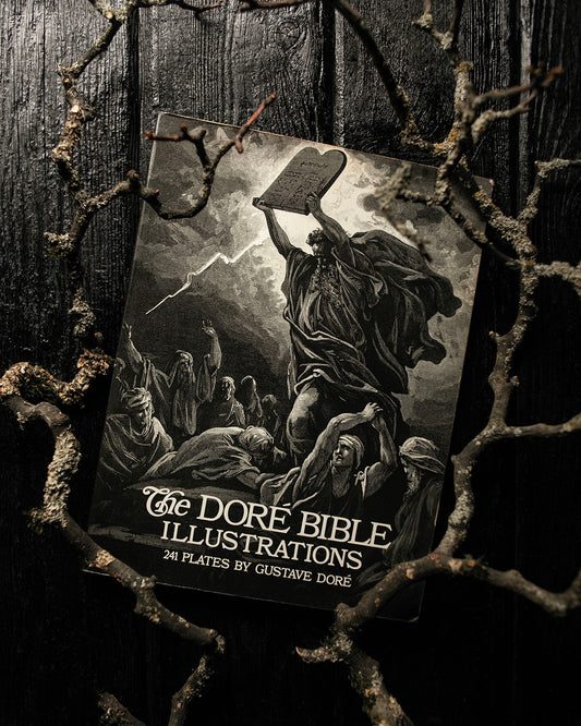 The Doré Bible Book