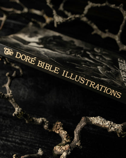 The Doré Bible Book