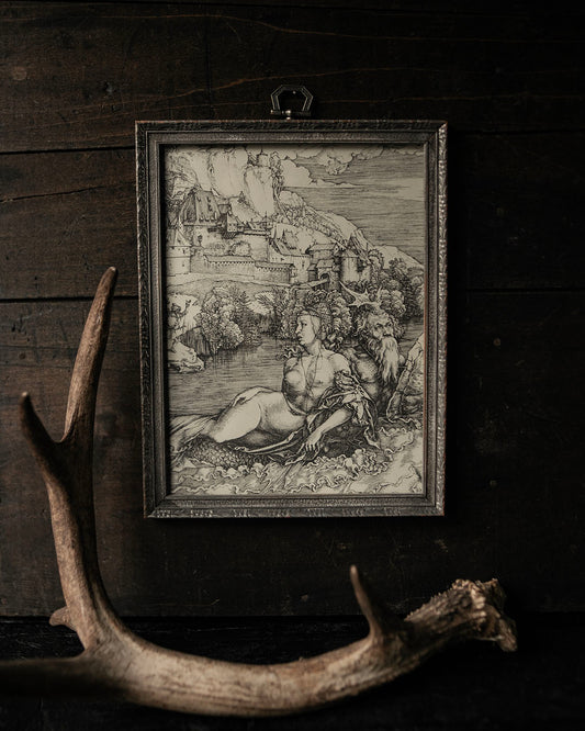 Vintage Frame & Print
