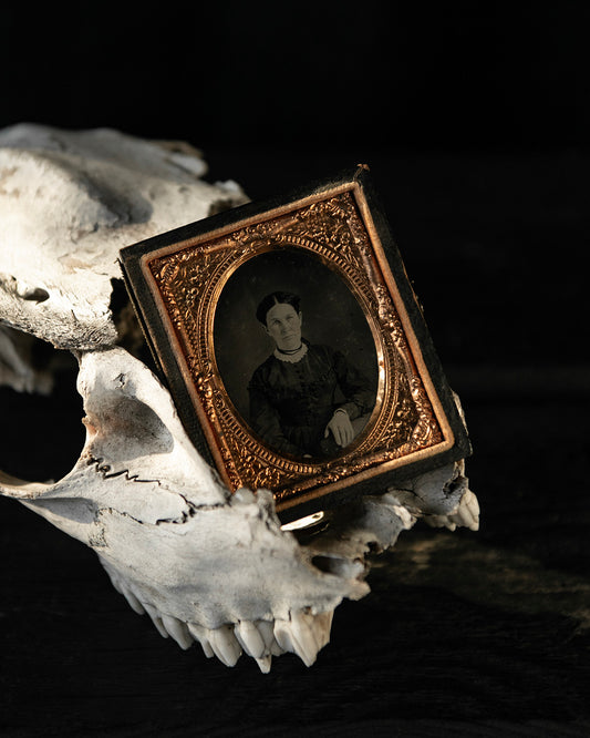 Antique Tintype