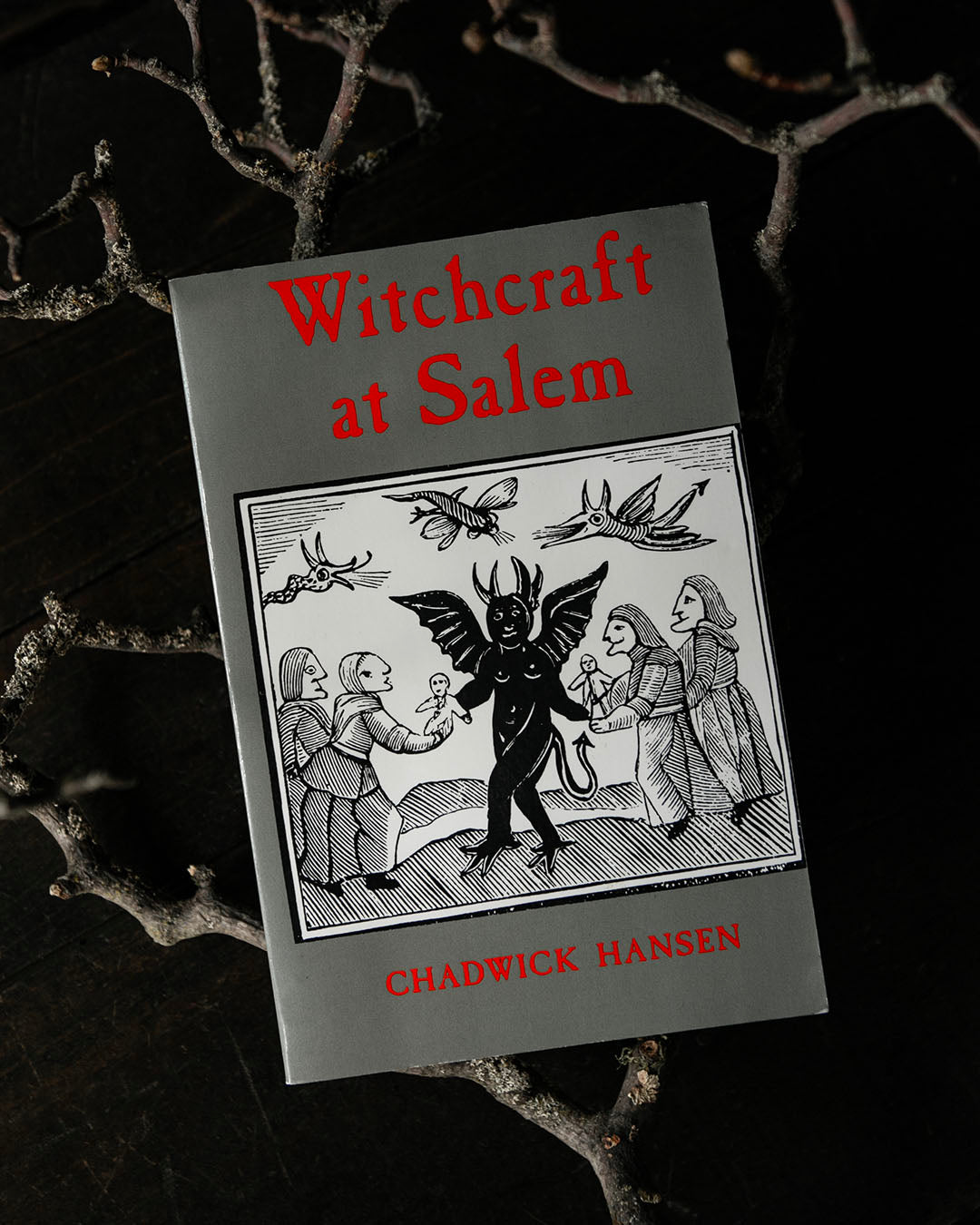 Witchcraft at Salem Book