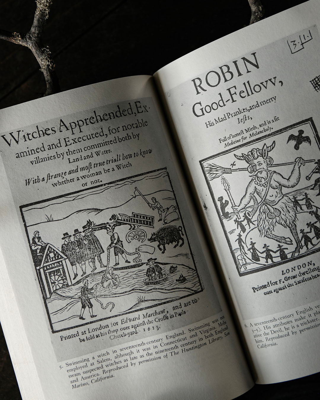 Witchcraft at Salem Book