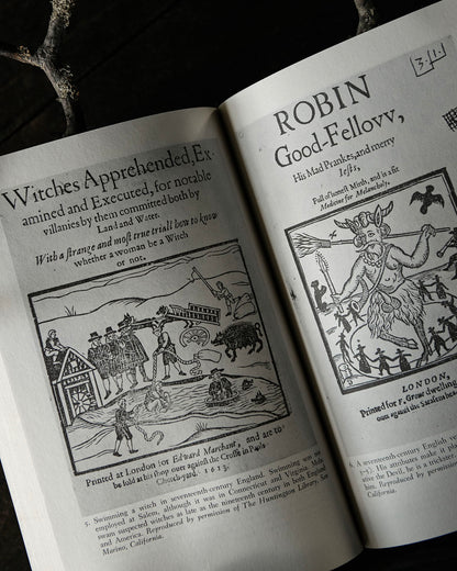 Witchcraft at Salem Book