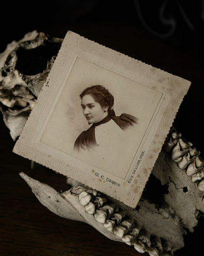 Antique Cabinet Card
