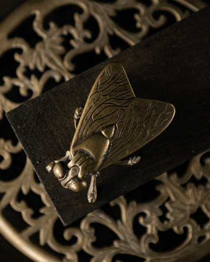 Brass Fly Ashtray