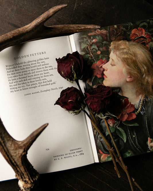 A Book of Delights