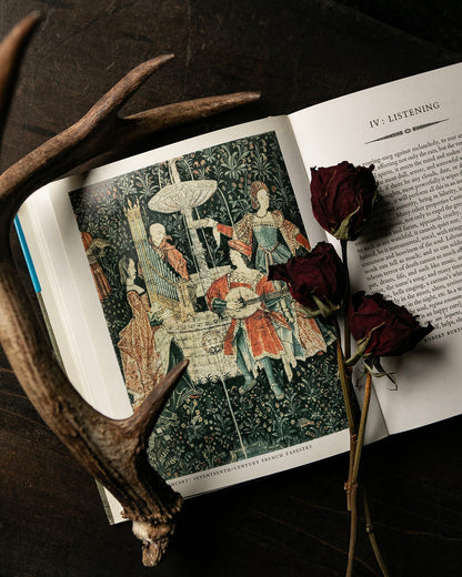 A Book of Delights