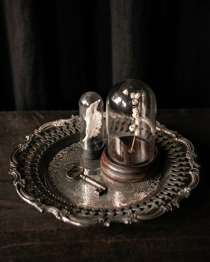 Ornate Dish