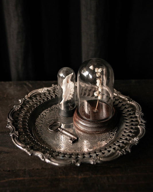 Ornate Dish