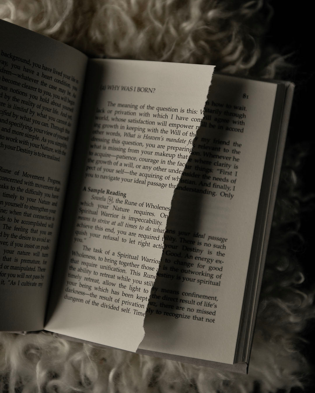 The Book of Runes