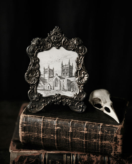 Ornate Frame