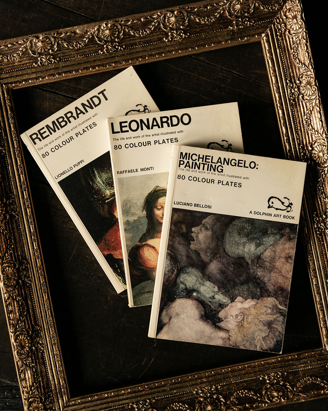 Rembrandt, Leonardo & Michelangelo Books