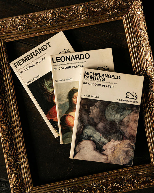 Rembrandt, Leonardo & Michelangelo Books