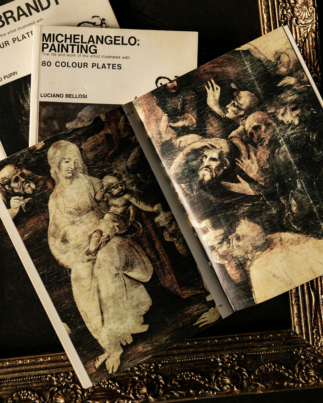 Rembrandt, Leonardo & Michelangelo Books