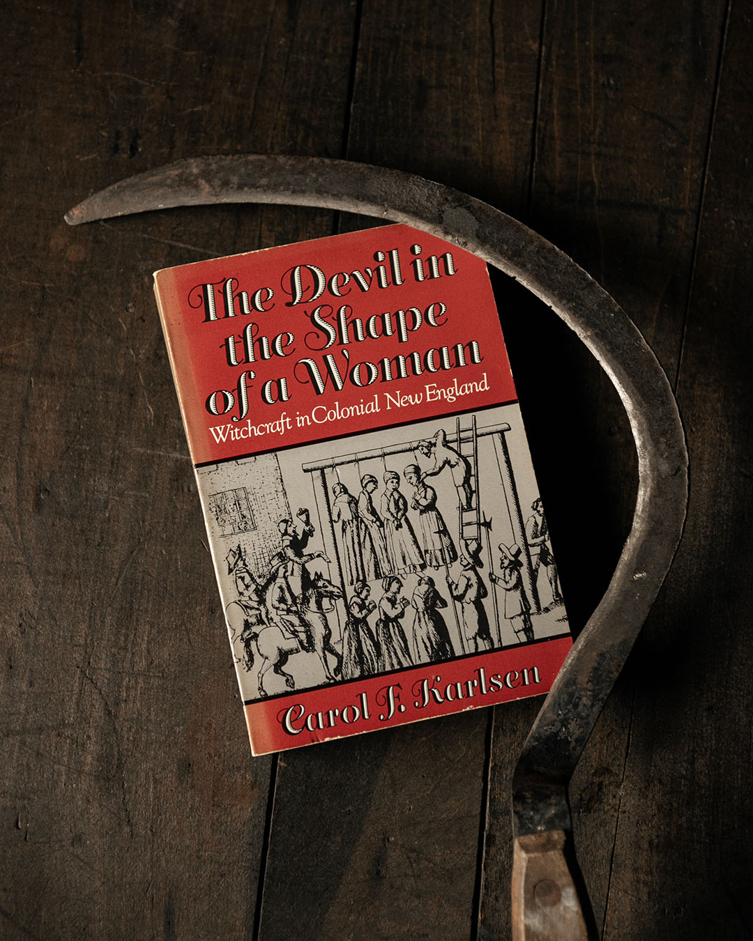 The Devil in the Shape of a Woman Book